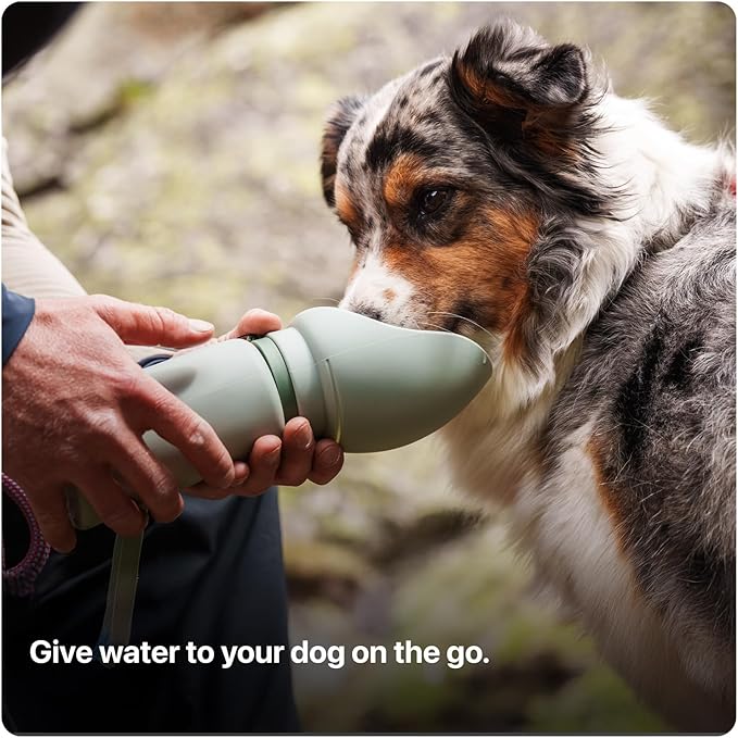 SÄKER Portable Dog Water Bottle SÄKER Portable Dog Water Bottle - Image 4