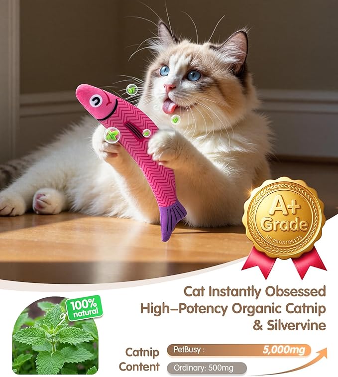 PetBusy Cat Toy PetBusy Interactive Cat Toy with Catnip & Silvervine - Image 2